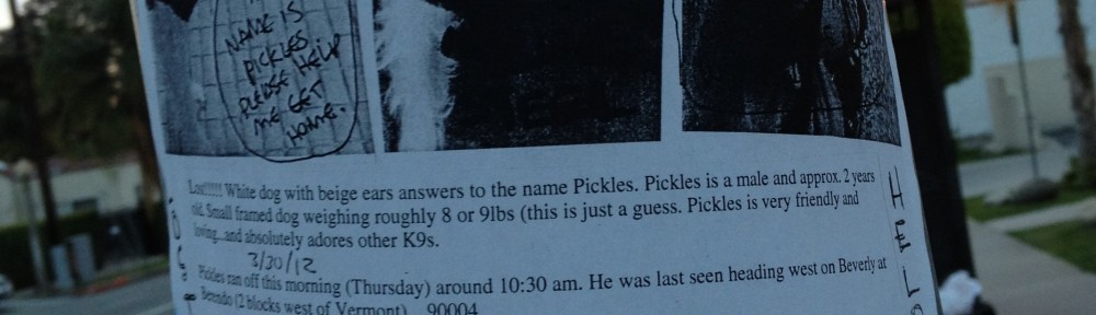 Pickles is missing