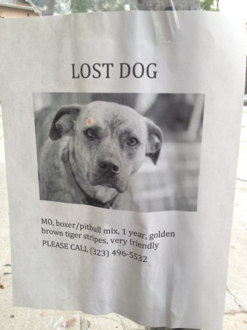 Mo is missing
