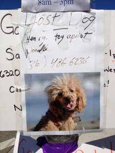 Henry is missing