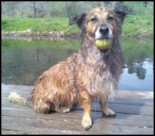 Rocky needs your help!