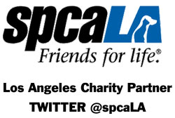 spcaLA adoption flyer