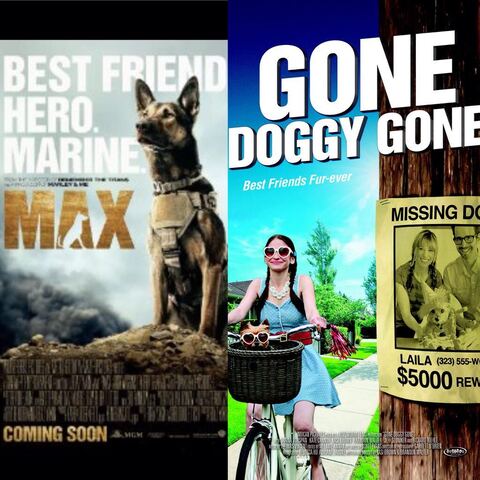 Two ways to help spcaLA: Max or Gone Doggy Gone, June 26, 2015.